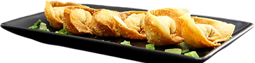 Wonton Gold Ingot
