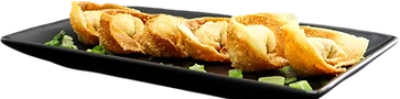 Wonton Gold Ingot